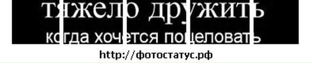 Роман Дахин фотография #37 (источник - https://vk.com/id10164185)