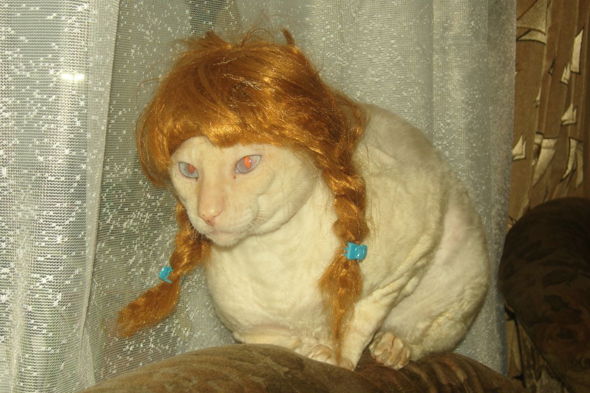 Марина Яковлева фотография #1