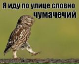 Фотография Липской Марии