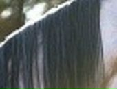 Сергей Осокин фотография #28 (источник - https://vk.com/id26323935)