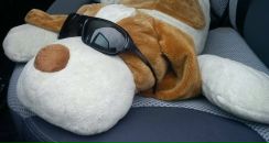 Фотография Грошевой Натальи