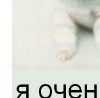 Аліна Гнатюк фотография #32 (источник - https://vk.com/id131384434)
