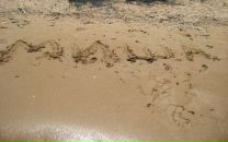 Фотография Колесникова Михаила