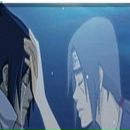 Элина Орлова фотография #42 (источник - https://vk.com/id153749916)