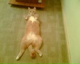 Фотография Хайрулина Алексея