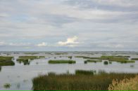 Серый Козлик фотография #24 (источник - https://vk.com/id850267)