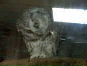 Варвара Давыдова фотография #17 (источник - https://vk.com/id1187003)