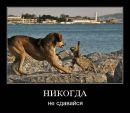 Іра Сiдорчук фотография #16 (источник - https://vk.com/id27743744)