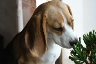 Фотография Яшиной Светланы