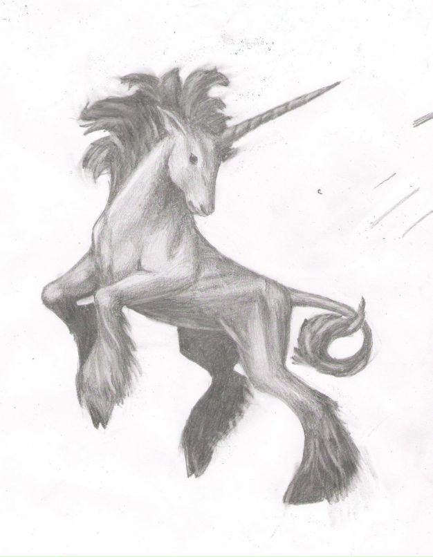 Владислав Арнольд фотография #49