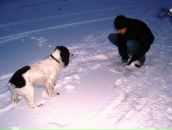 Вітальчик Бундз фотография #7 (источник - https://vk.com/id164340103)