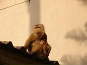 Фотография Мицкевича Сергея