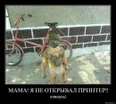 Сергій Трохимчук фотография #39 (источник - https://vk.com/id91113236)