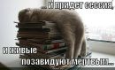Фотография Романовой Ксении