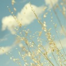 Фотография Сёма Александр