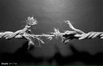 Фотография Мосина Никиты