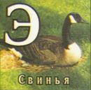 Фотография Максимова Тима