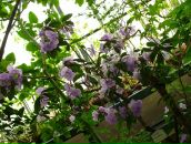 Alexey Dushen фотография #41 (источник - https://vk.com/id670180)