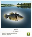 Іван Козачек фотография #24 (источник - https://vk.com/id101456755)