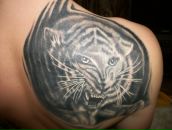 Фотография Рождественского Максима