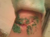 Фотография Курочкина Алексея