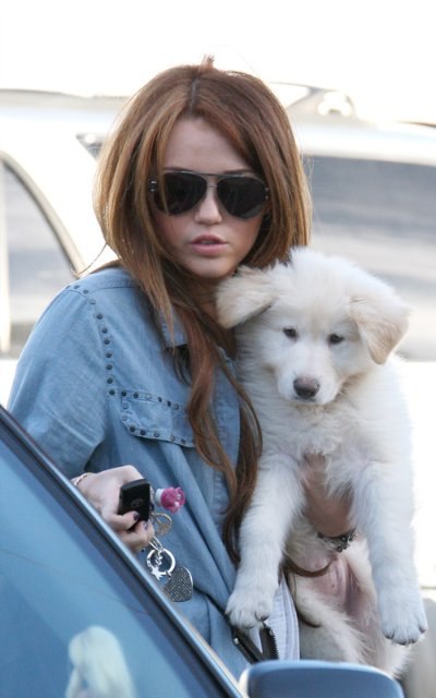 Miley Cyrus фотография #24