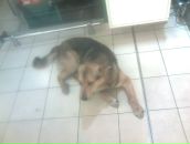 Фотография Дмитриева Андрея