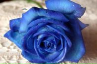 Ігор Мілка фотография #18 (источник - https://vk.com/id68218407)