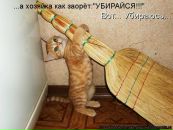 Богдан Візір фотография #31 (источник - https://vk.com/id151810131)