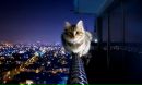 Фотография Мирошниченко Веры