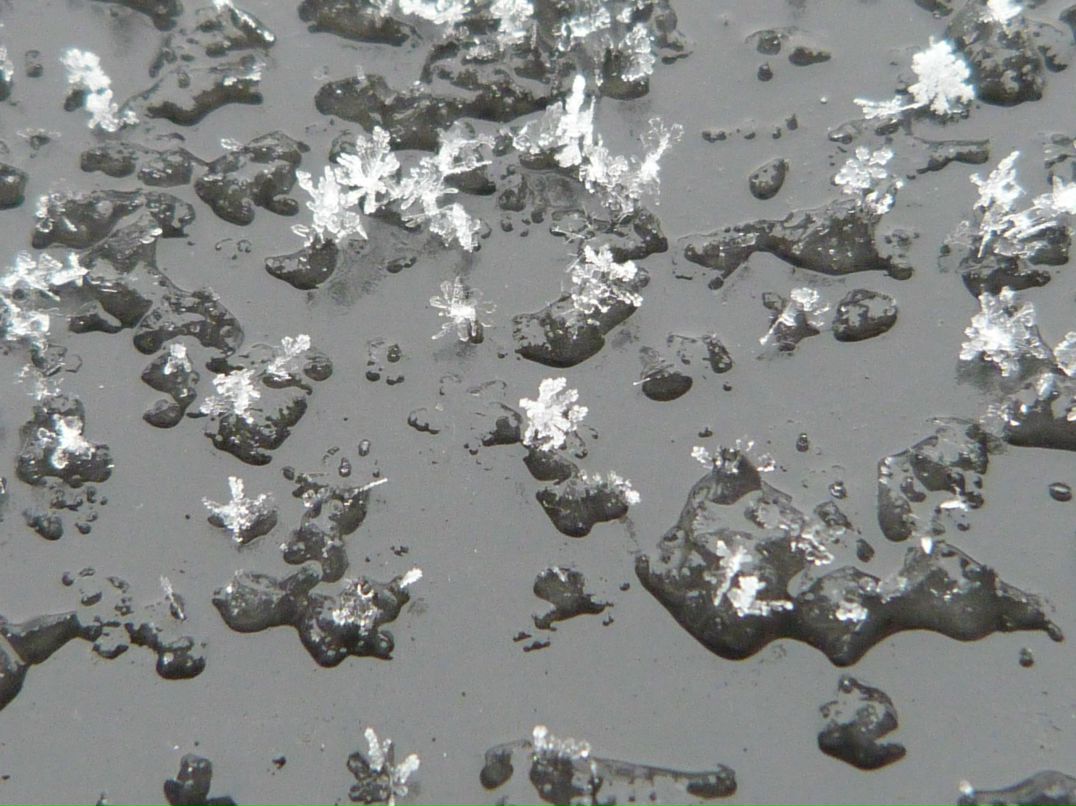 Alex Bleich фотография #35