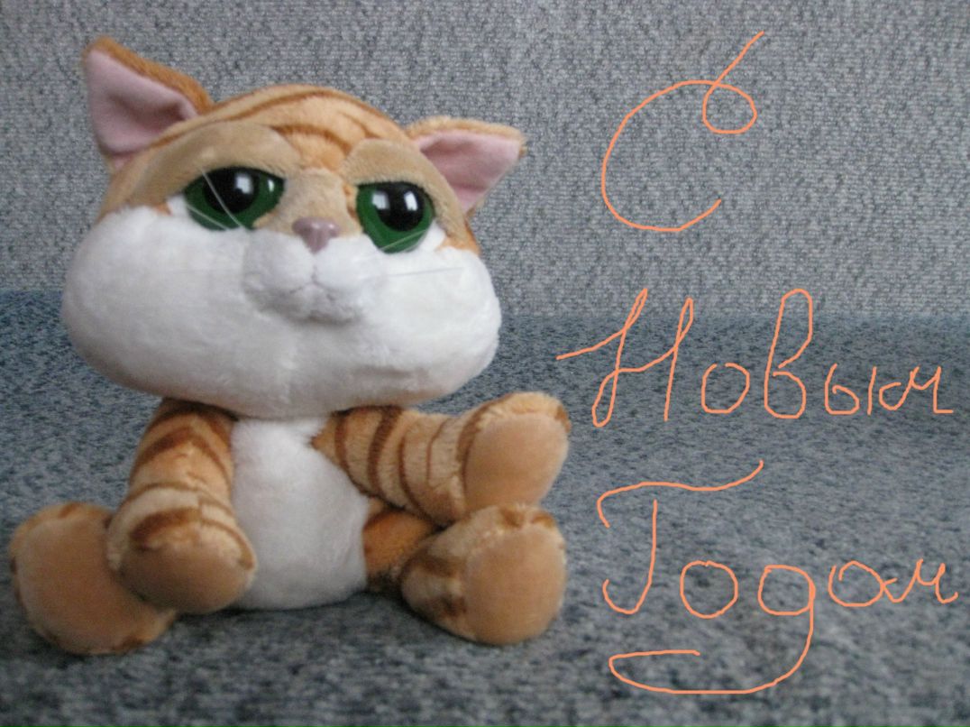 Лера Вагнер фотография #46