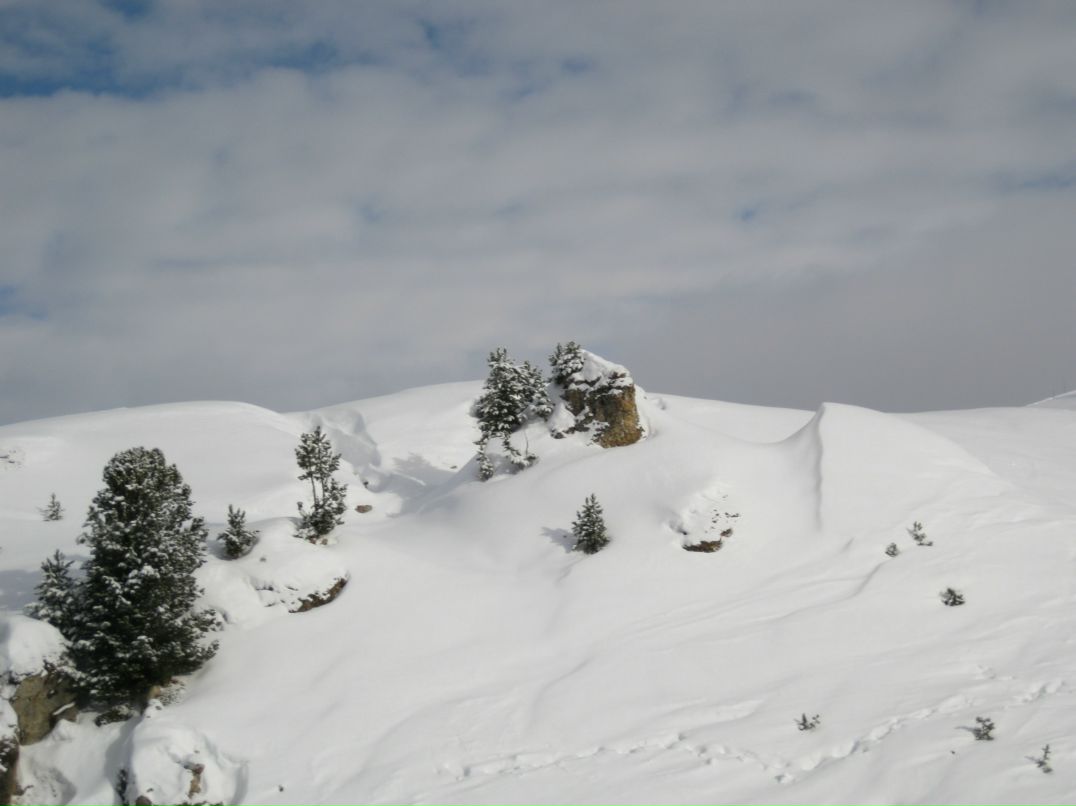 Григорий Поляков фотография #16