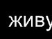Влад Маркін фотография #31 (источник - https://vk.com/id91382706)