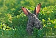 Олюся Вірста фотография #1