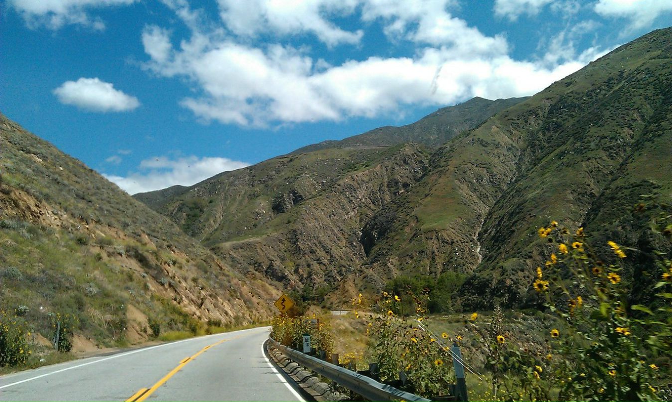 Дмитрий Бурцев фотография #35