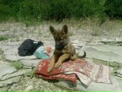 Діма Шевчук фотография #2 (источник - https://vk.com/id134251184)