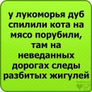 Вікторія Яцюк фотография #50 (источник - https://vk.com/id134060773)