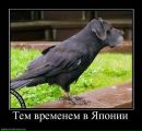 Андрій Бевз фотография #23 (источник - https://vk.com/id29059681)