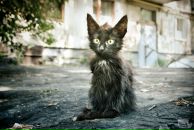 Фотография Ланге Макса