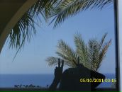 Фотография Шевченко Юрия