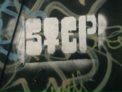 Фотография Пащенко Степы