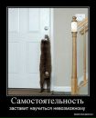 Ірина Яворська фотография #44 (источник - https://vk.com/id143432156)