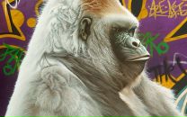 Фотография Gorilla Urban
