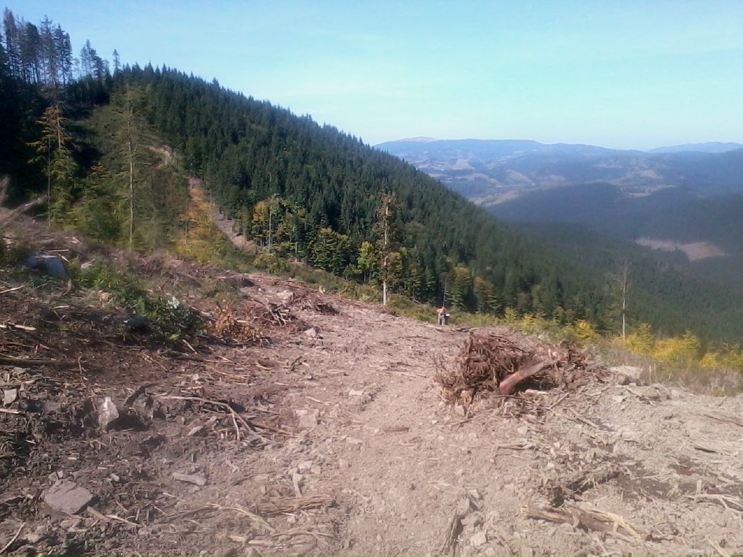 Саша Андреев фотография #45