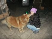 Фотография Верещагиной Ирины