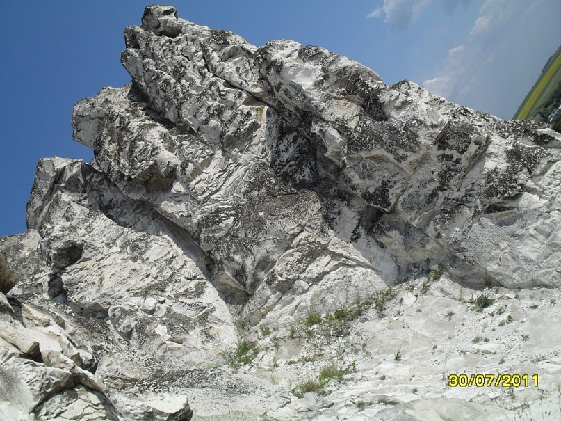 Андрей Поляков фотография #12