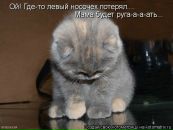 Анна Матвеенко фотография #28 (источник - https://vk.com/id536629)