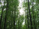 Іван Михальчук фотография #16 (источник - https://vk.com/id146891159)