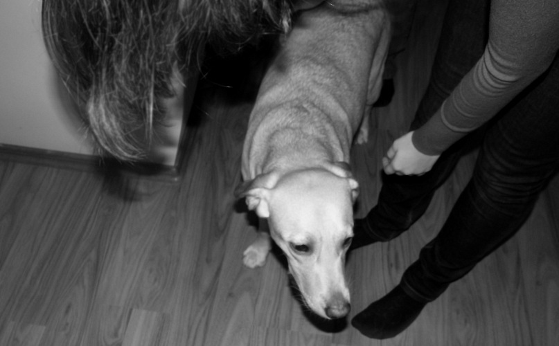 Darin Darin фотография #38